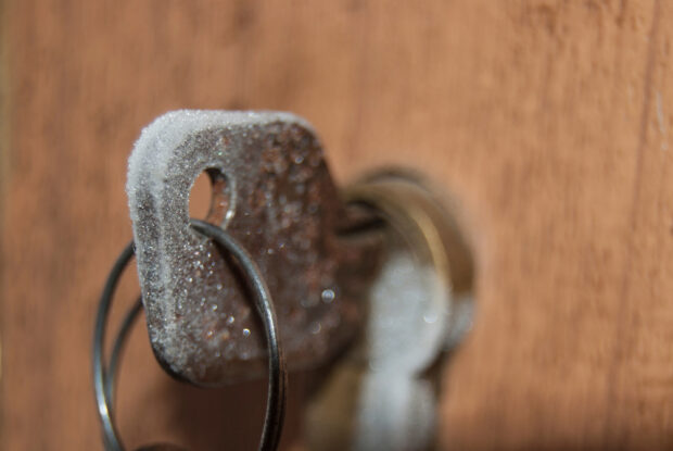 The Fall Fix-Up: Don’t Let Winter Freeze Your Locks (and Your Schedule!)
